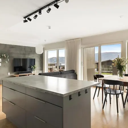 Large Luxurious Apartment With Private Terrace And Parking Apartment Bergen
