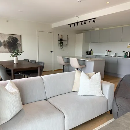 Large Luxurious With Private Terrace And Parking Appartement